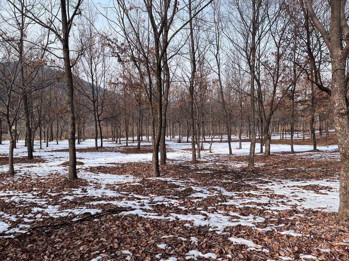 삼회리 수풀로 브로셔