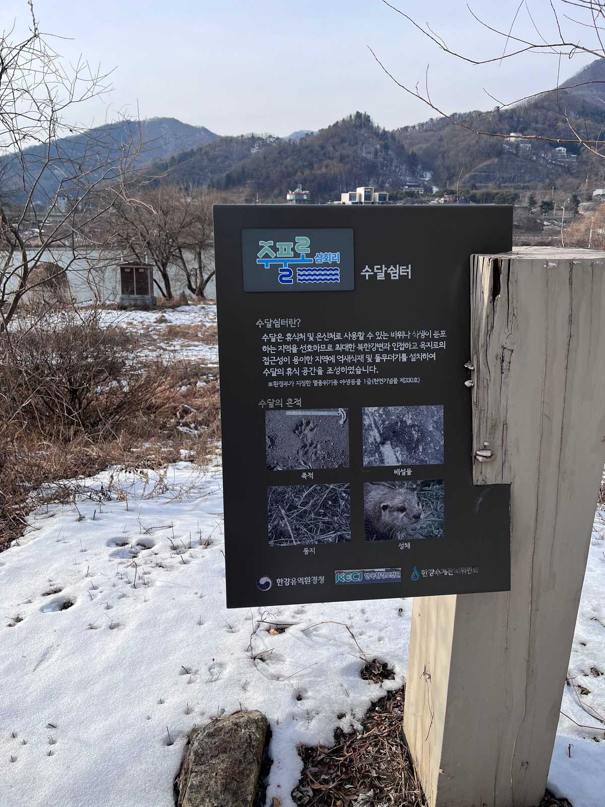 삼회리 수풀로 브로셔